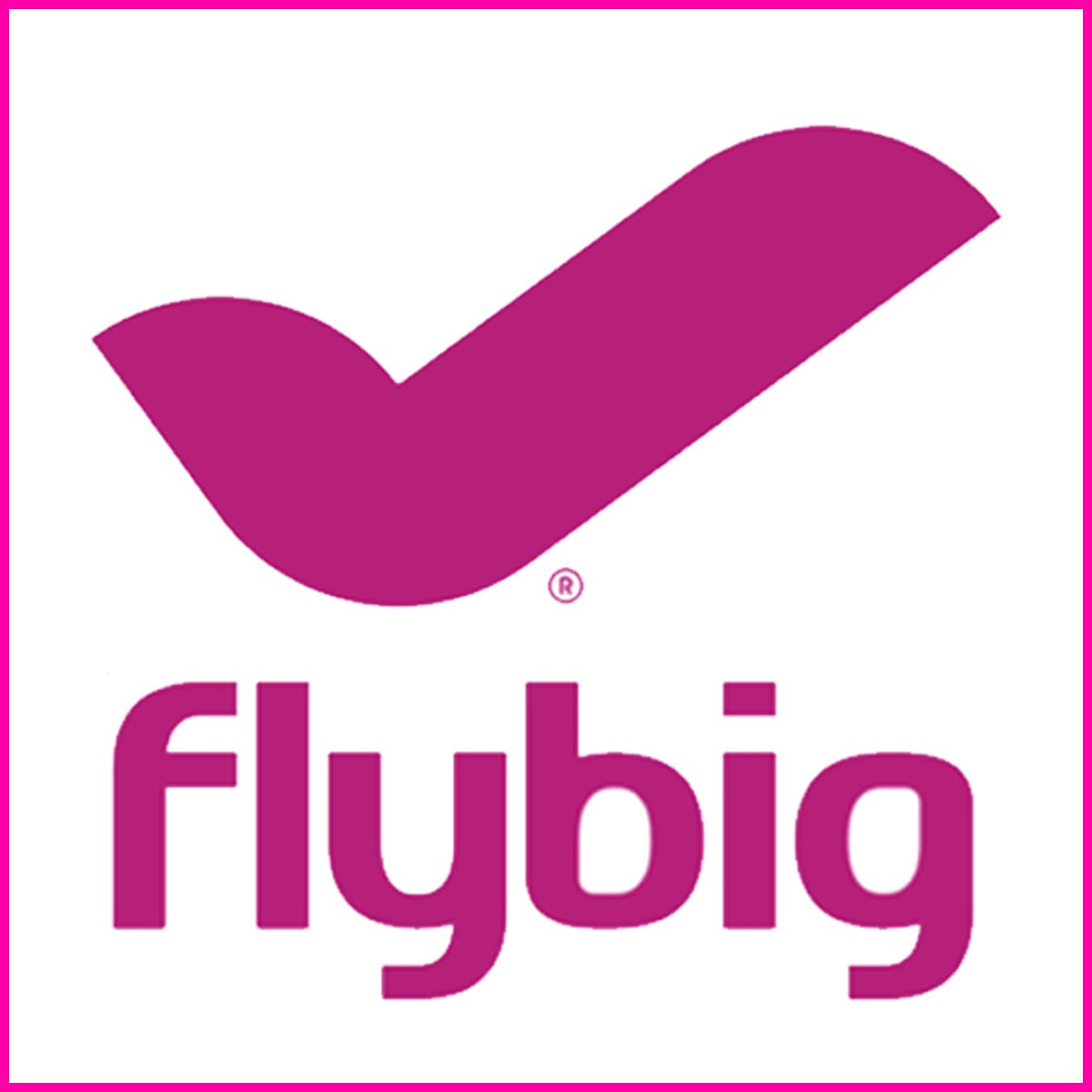 flybig logo