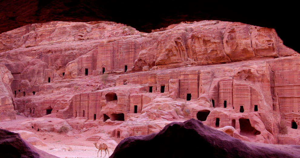 Dromedary camel at the Theater Necropolis in Petra Jordan